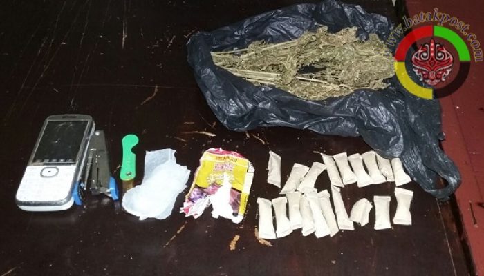 Polsek Pandan Amankan 19 Ampul Ganja Kering