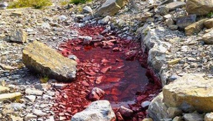 Misteri Es yang Mencair Jadi Warna Merah Darah di Amerika