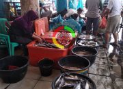 H-2 Lebaran Harga Ikan Melonjak Naik di Sibolga