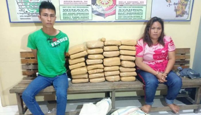 30 Bal Lebih Ganja Siap Edar Digagalkan Polres Tapteng