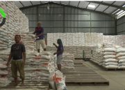 Ini Kata Bulog Terkait Stok Beras di Sibolga-Tapteng