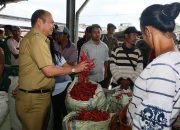 Atasi Anjloknya Harga Cabai Merah, Ini Yang Dilakukan Bupati Taput Nikson Nababan