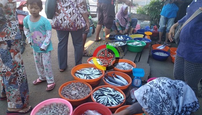 Waduh..Harga Ikan Laut di Pandan Melonjak Naik