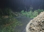 Hati-hati Jalan Sibolga-Tarutung Longsor dan Ada Pohon Tumbang