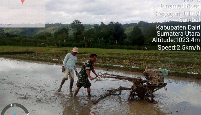 Dengan Menggunakan Hand Tracktor Babinsa Bantu Petani Mengolah Sawah