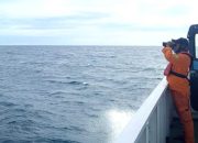 Nelayan Temukan Fiber di Pulau Mursala, Diduga Milik KM Gemilang 717 Yang Hilang Kontak