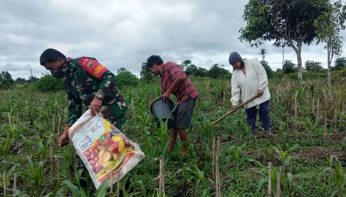Koramil 03 Parongil Bantu Warga Bersihkan Lahan Pertanian