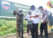 Antisipasi Kelangkaan Pangan Akibat COVID-19 dengan Menanam Jagung