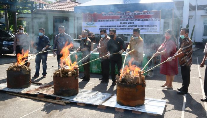 Kejari Sibolga Musnahkan Barang Bukti Ganja dan Sabu