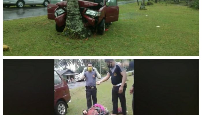 Mengantuk, Mobil Rombongan dari Siantar Nabrak Pohon Kelapa di Tapteng