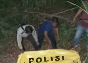 Ada Mayat Ditemukan Tergantung di Pohon Nangka di Tapteng