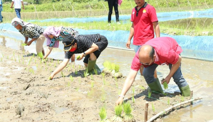 Bupati Nikson Canangkan Program Mina Padi dan IP2
