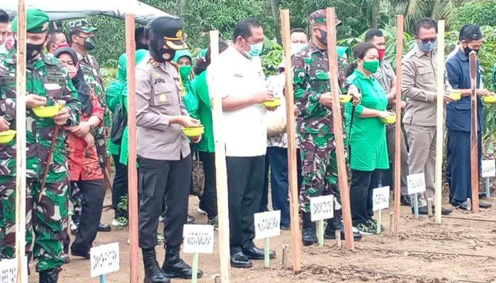 Kodim 0212/TS Gelar Penanaman Perdana Jagung Program Pemberdayaan Prajurit