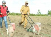 Bupati Nikson: Konsep Food Estate di Taput Harapan Baru Bagi Masyarakat