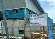 Bandara FL Tobing Pinangsori Direhap