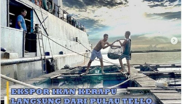Bea Cukai Sibolga Ekspor Ikan Kerapu Hidup Langsung Dari Pulau Tello ke Hongkong