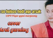 Chord dan Lirik Lagu Batak Tung So Huloas Ho Diago Arsak
