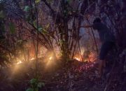 Lahan Perbukitan Seluas 1 Hektare Terbakar di Sibolga