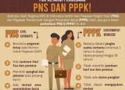 Apa Bedanya PPPK dan PNS? Simak Penjelasannya