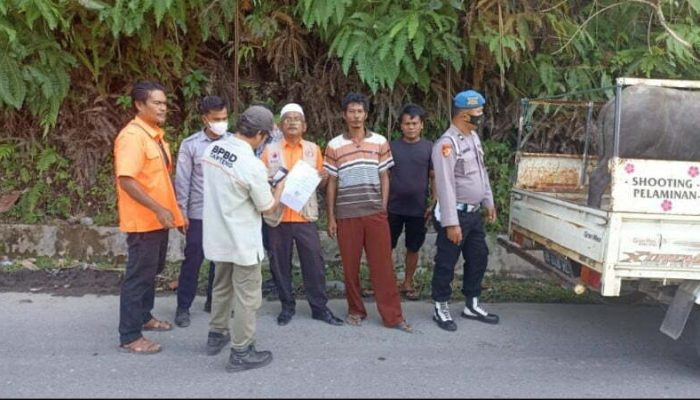 Antispasi Penyebaran PMK BPBD Tapteng Dirikan Posko Pencegahan