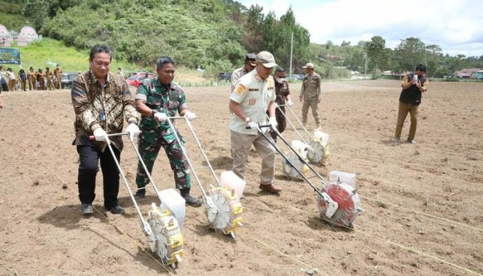 Pemkab Taput Bersama Kodim Uji Coba Kentang dan Jagung Organik