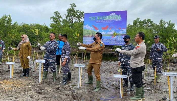 Satkowil Lanal Sibolga Gelar Bintahwilmar Penanaman Bibit Mangrove