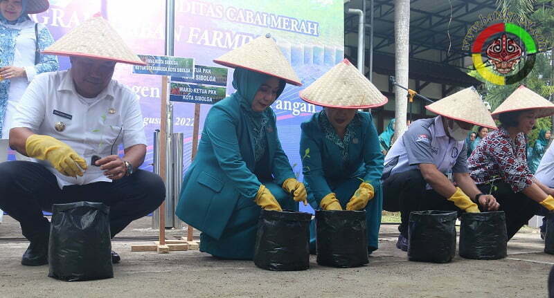Penanaman Bersama Komoditas Cabai Merah dalam Program Urban Farming. (Batakpost.com/Jas)