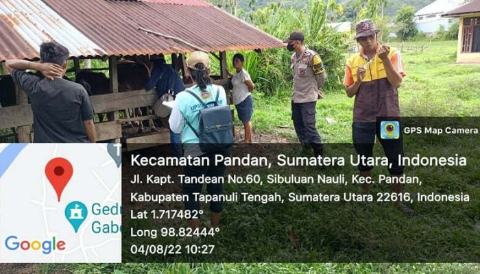 Bhabinkamtibmas Dampingi Petugas Suntik Vaksin PMK