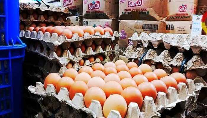 Harga Telur Ayam Mulai Turun
