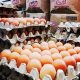 Harga telur mulai turun. (Batakpost.com/Jas)