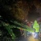 Satu Unit Rumah di Sibolga Ditimpah Pohon. (Ist)