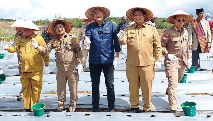 Menteri Pertanian Syahrul Limpo Apresiasi Terobosan Bupati Vandiko Gultom