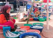 Jelang Ramadan Harga Ikan di Pandan Masih Normal