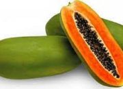 Pepaya, Bahan Alami Efektif untuk Meredakan Asam Lambung Berlebihan