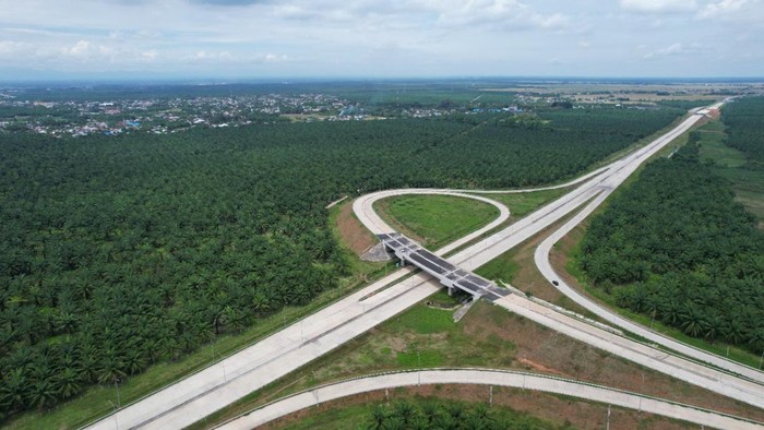Target Penyelesaian 31 Proyek Strategis Nasional (PSN) pada Tahun 2024 Menjadi Tantangan Pemerintah