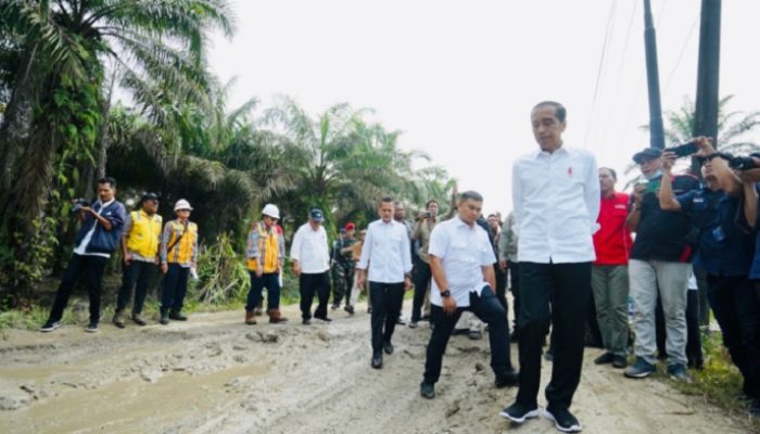 Jokowi: Juli 2023 Jalan ke Tanjung Leidong Sudah Diperbaiki