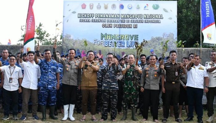 Pemkab Tapteng Ikuti Penanaman Mangrove Secara Serentak di Indonesia