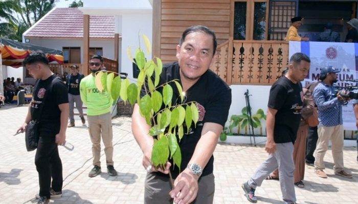 Pj Bupati Tapteng Bersama BRIN Tanam Pohon Barus di Situs Bongal