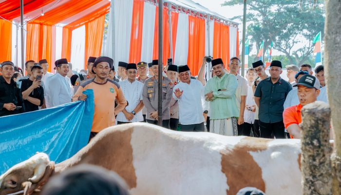 Pemko Medan Menyembelih 104 Ekor Hewan Kurban dalam Rangka Perayaan Idul Adha