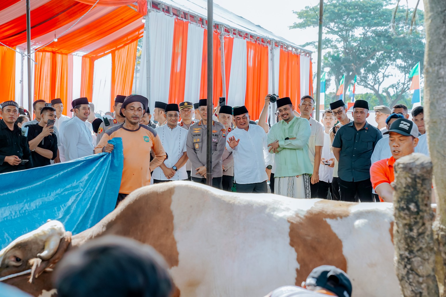 Pemko Medan Menyembelih 104 Ekor Hewan Kurban dalam Rangka Perayaan Idul Adha