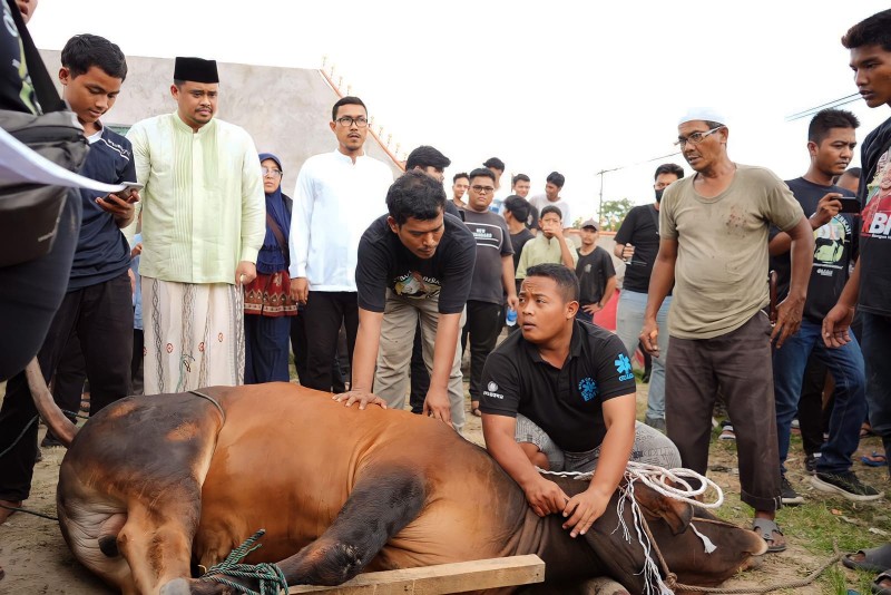 Wali Kota Medan Bobby Nasution Berkurban 2 Sapi Bersama Keluarga di Rumah Kolaborasi