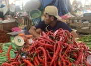 Harga Cabai Merah di Sumut Mulai Naik, Berpotensi Sumbang Inflasi