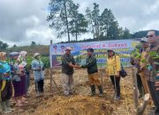 Dinas Ketapang dan Pertanian Kabupaten Samosir Salurkan Bantuan Bibit Kopi dan Pupuk untuk Program Perluasan Tanaman Kopi Arabika