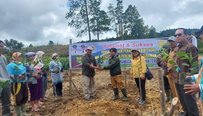 Dinas Ketapang Berikan Bantuan Bibit Kopi dan Pupuk