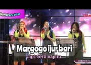 Chord Lagu Batak yang Lagi Viral “Margogo Ijur Bari”