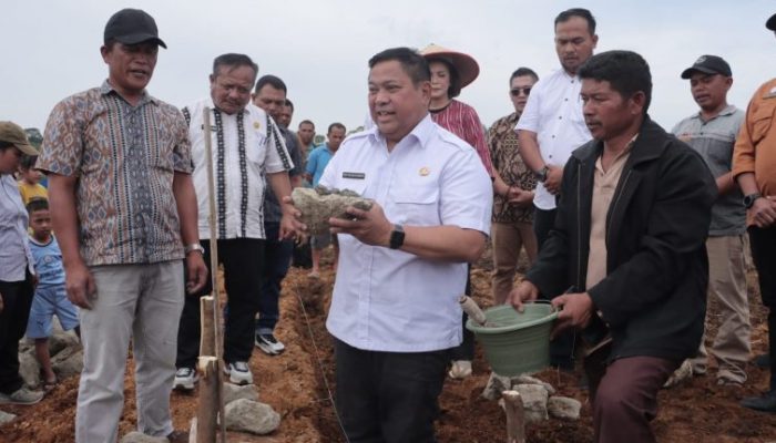 Bupati Dairi Eddy Berutu Tingkatkan Pertanian Melalui Pengembangan Pupuk Organik