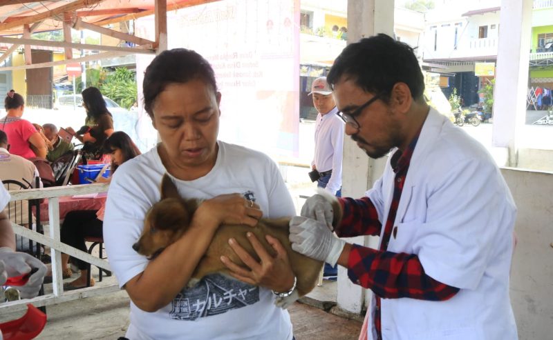 Dinas Ketapang dan Pertanian Kabupaten Samosir Gelar Vaksinasi Rabies Gratis