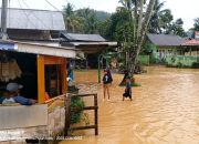 Banjir dan Tanah Longsor Kembali Terjang Lima Puluh Kota, Sumatera Barat, Satu Orang Tewas Tertimbun Longsor
