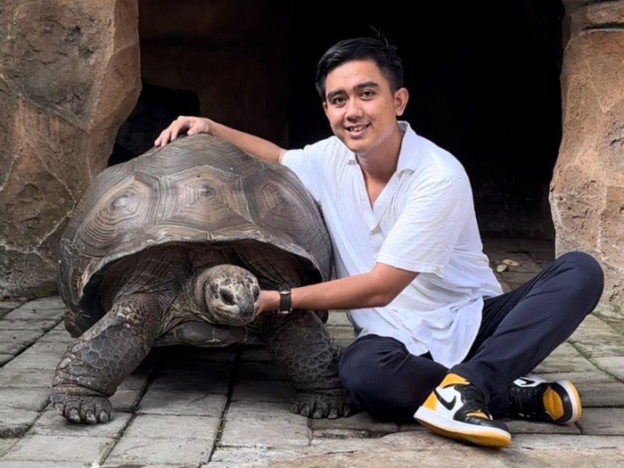 YouTuber Wildan Mochmaul: Dari Pecinta Hewan hingga Identitas Dokter Hewan
