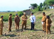 Bupati Samosir Vandiko T. Gultom Optimis Pembangunan Pengadilan Negeri (PN) Samosir Akan Terealisasi